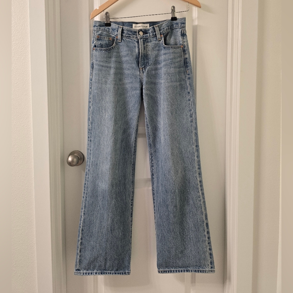Aritzia Denim Forum Farrah Lo Rise Wide 25
